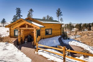 Cozy Bear Den Cabin with Winter Snow