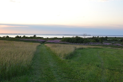 Newly Renovated, Spacious Oceanfront Farmhouse 