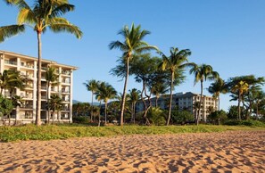 Oceanfront Resort
View From Beach