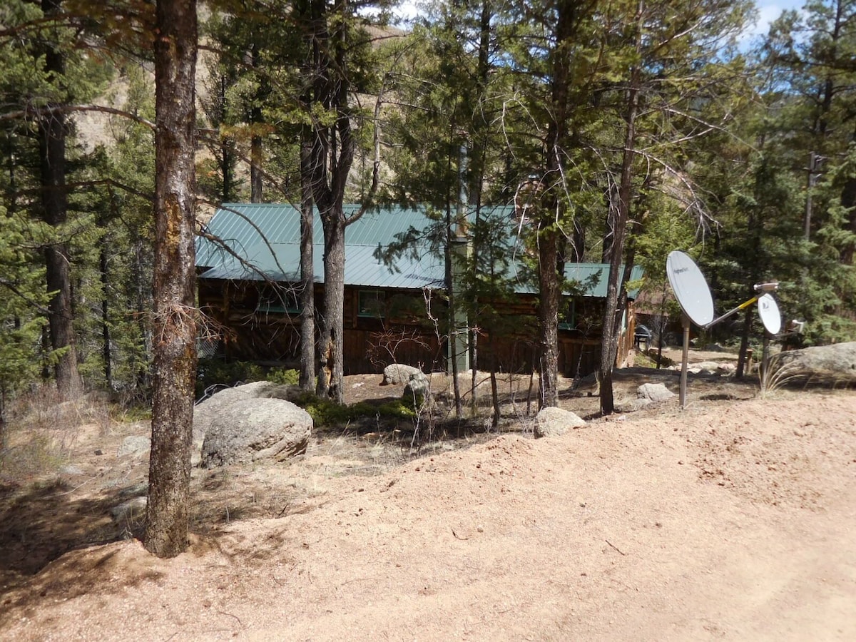 Main Image