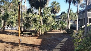 View, path from back deck to the pool under the palm trees