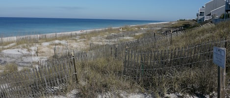 Dunes and ocean