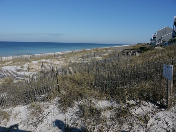 Dunes and ocean