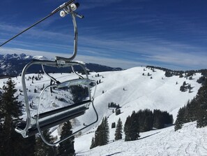 Sundown Bowl from Chair 5