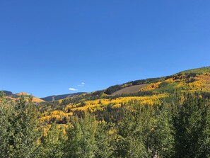 2018 Fall foliage from the front balcony
