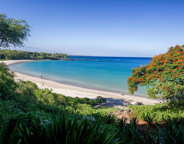 Mauna Kea Beach and Hapuna Beach are yours to enjoy