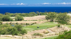 Ocean Views from your lanai
