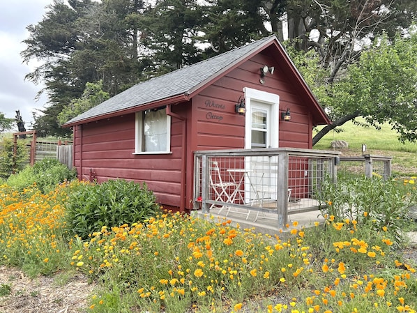 The writer's cottage at Stemple Creek Ranch is a quiet oasis! 