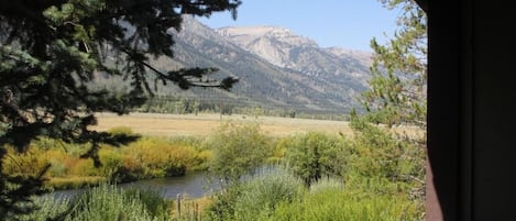 Views from the porch to Fish Creek, open ranch land and the mountain range