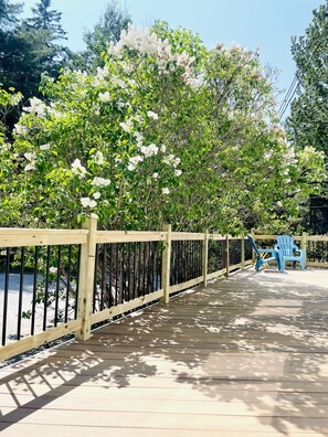 Terrasse/gårdhave
