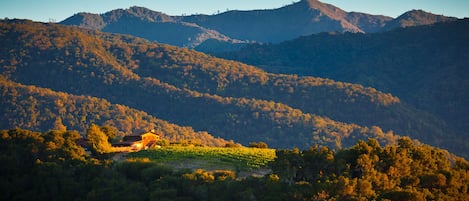 The Vineyard Cottage at Rombi Wines Estate Vineyard