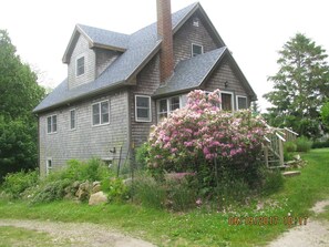 entrance facing street, lower level with no windows is cellar(washer/dryer) 