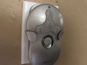 Master bdrm remote for ceiling fan and light