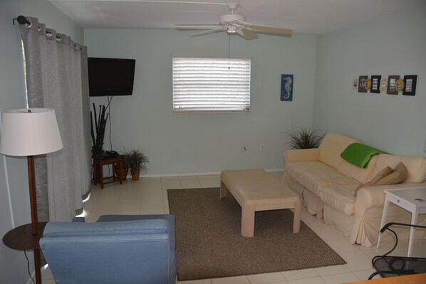 Living room with pull out couch