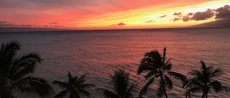 A sunset view from our patio lanai taken by one of our guests.  