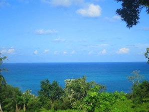 Beach/ocean view