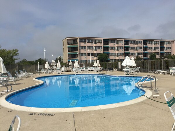Main heated pool