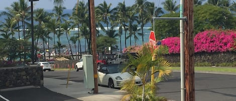 Kahaluu Beach/view from Lanai