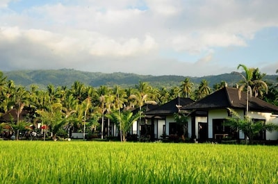 Luxury Villas with Great View at Lovina