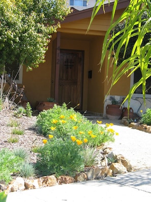 Rustic Front Door with speak easy &seasonal California Poppy & other Natives 