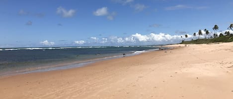 VISTA DA PRAIA DE GUARAJUBA COM A MARÉ BAIXA.