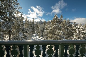 View from living room (balcony)