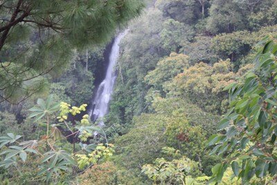 Cascada Cafe Retiro (Waterfall Café Retreat) Colombia Coffee Farm Experience PPN