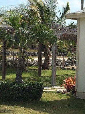 Mature palm trees, manicured grass and tropical gardens surrounding our property