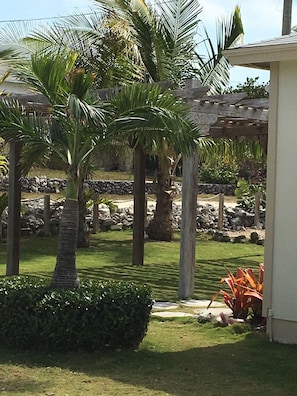 Mature palm trees, manicured grass and tropical gardens surrounding our property