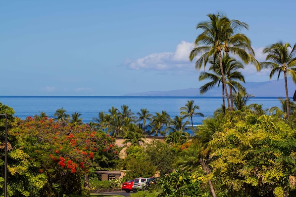 ocean view from Wailea Ekahi 
51 F