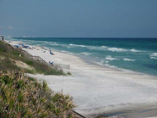 One of the world's best beaches is across the street from Petite Retreat!