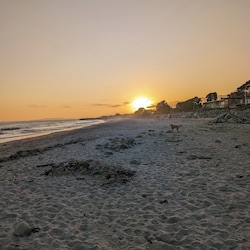 🐶🐕 Dog Beach in front on beach to the right side