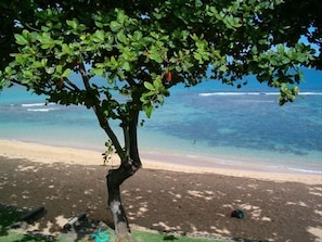 Beach View From Lawn