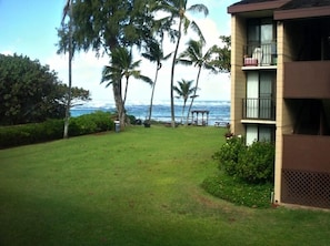 View From Lanai