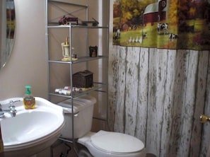 Guest bathroom