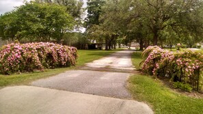 Entrance to Bayou Rose