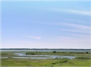 View off deck at midday.  Overlooks Jarvis Sound. Several varieties of birds.