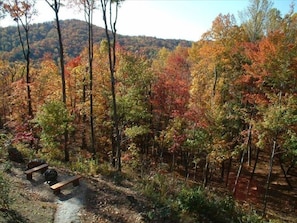 A hill and a holler.  And a firepit.