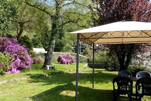 The garden