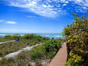 Boardwalk to the beach