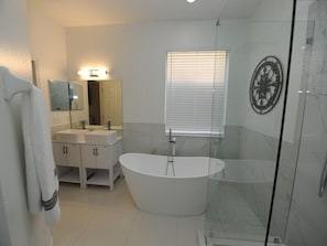 Master Bathroom 1