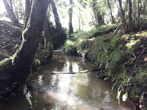 Access to 70 acre private estate with small lake and woodland walks