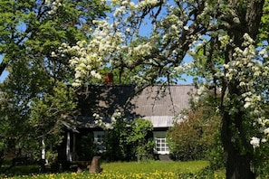 View of the Museum & Guesthouse "Stūrīši" - details of the front yard. 