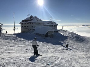 Ski