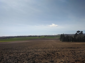 Photo non classée, 3 sur 6, bouton