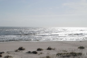 Beautiful beach and ocean views!