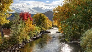 Clear Creek in the fall.