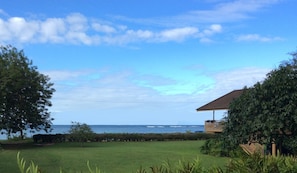 View of the house from back corner of the yard