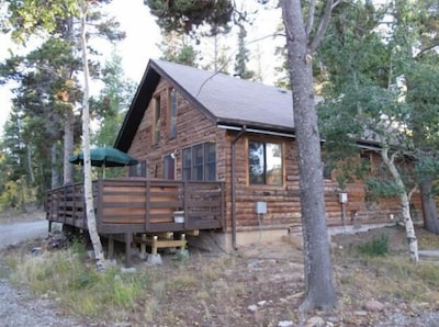 Amazing log cabin, Views, Hot Tub, Fireplace, Decks, private!