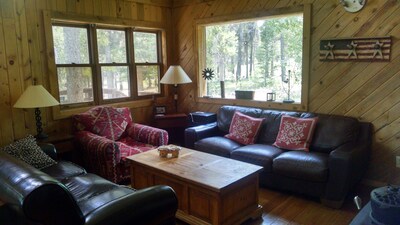 Amazing log cabin, Views, Hot Tub, Fireplace, Decks, private!